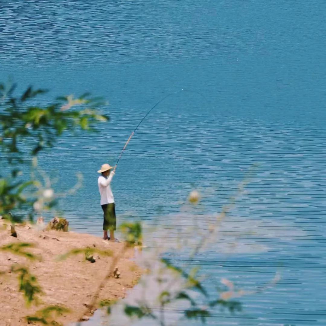 广州从化赏荷花胜地,从化草埔荷花