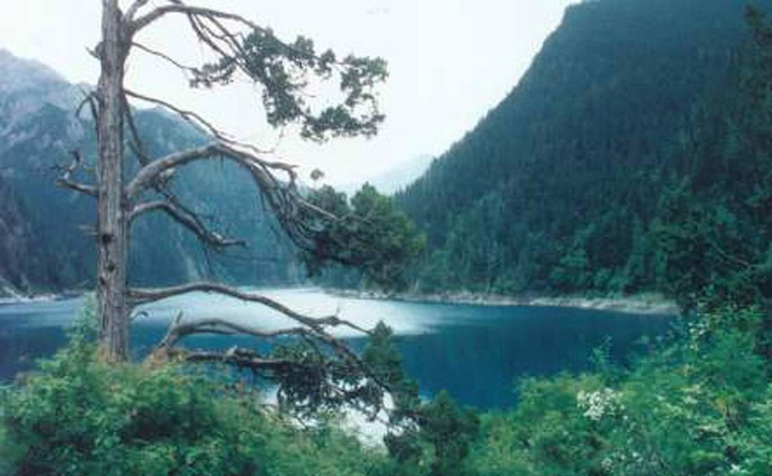 九寨沟旅游路线攻略！四川旅游5日游九寨沟攻略