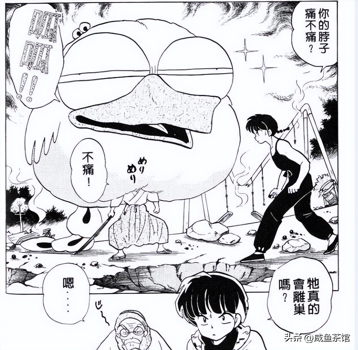 乱马12部分详解,乱马的招式