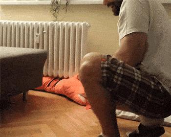 5种禁养的宠物,五种禁养犬