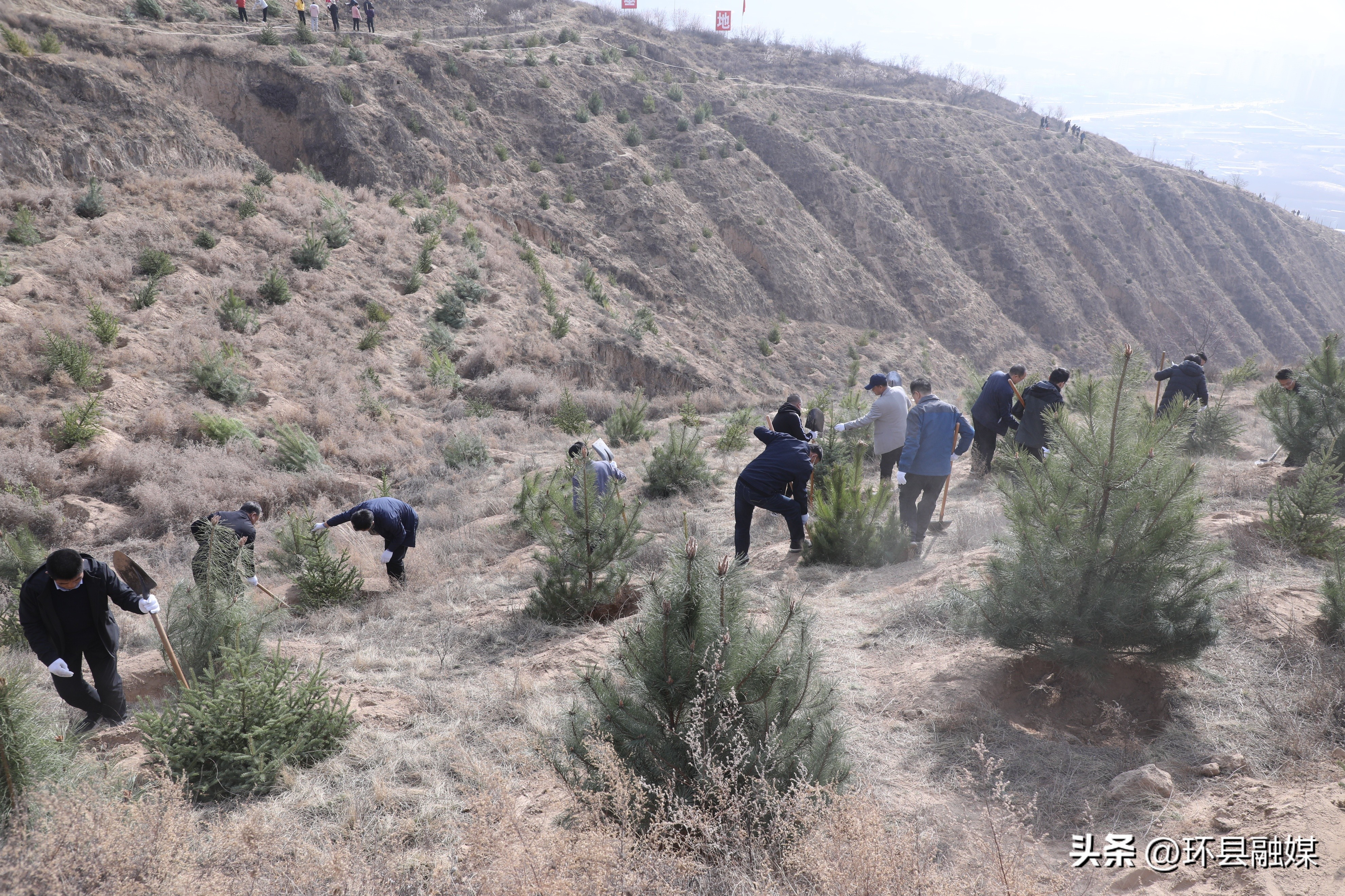 新县组织开展全民义务植树活动,积极开展植树增绿活动