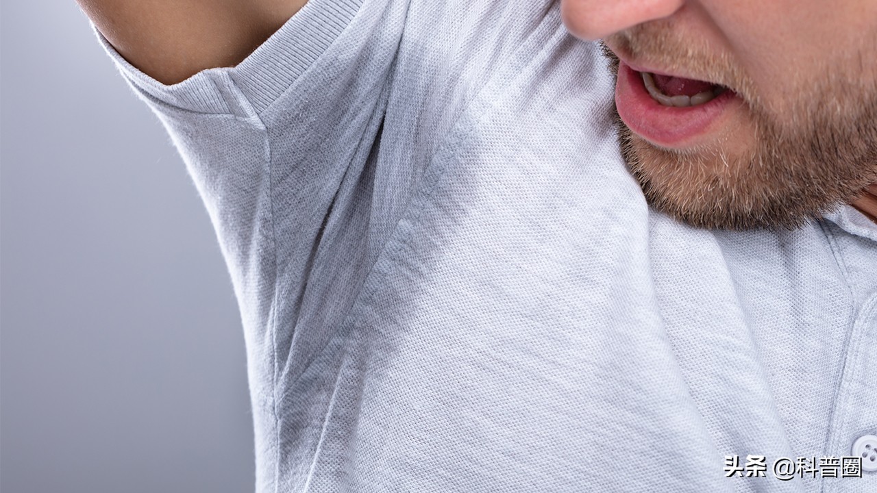 狐臭是怎么产生的？科学证实：有狐臭正常，没狐臭才是“变异者”