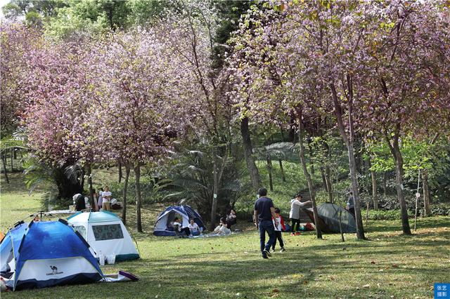 广州风景好又安静的地方推荐,广州最幽静的景点