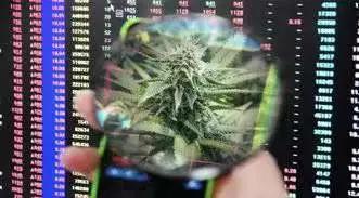 “*麻大**概念股”进军核医学领域，中国首台PET引进者为首席科学家