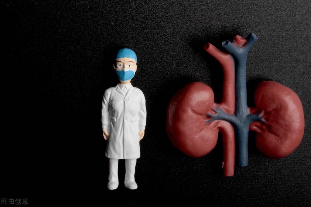 药物导致肌酐升高能恢复吗,紧张焦虑会引起肌酐升高吗