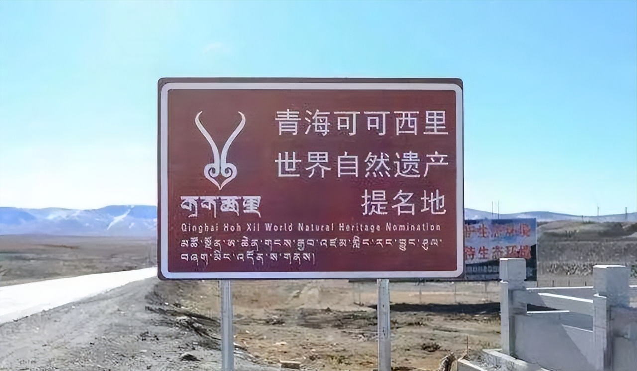 可可西里失踪女孩的真实原因,可可西里失踪的女孩有两次活命