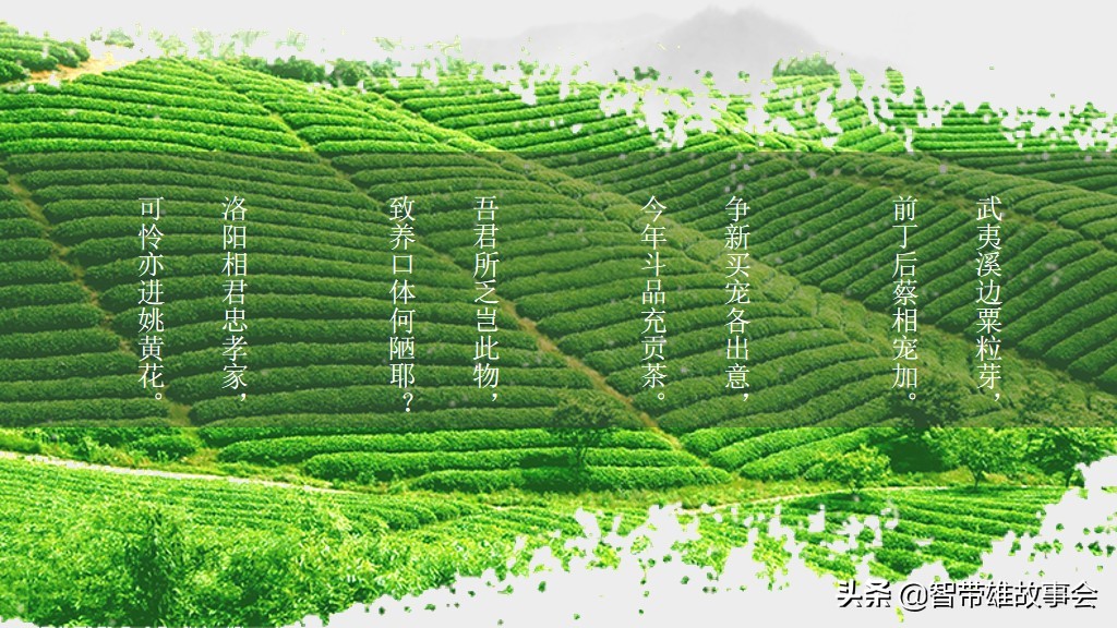 少儿茶艺ppt模板,免费茶艺ppt背景图片