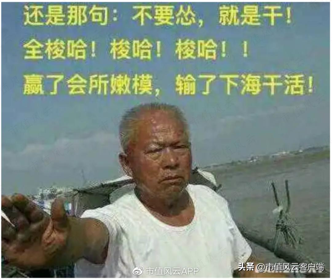 *哈梭**之王，赌性坚强，1“兰”=126“爽”!中欧基金造神，葛兰塌房