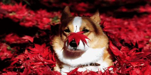 读研舍友都过得怎么样,大学毕业的舍友们都怎么样了