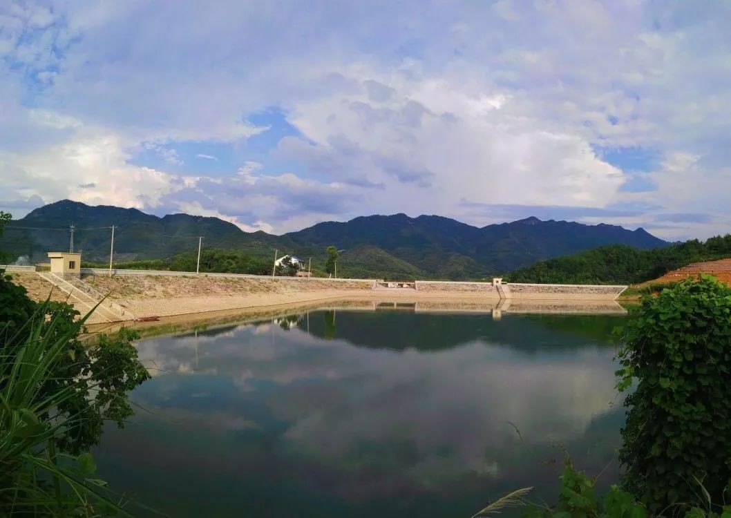 烈性犬不牵绳,未牵绳犬撕咬受伤狗主人