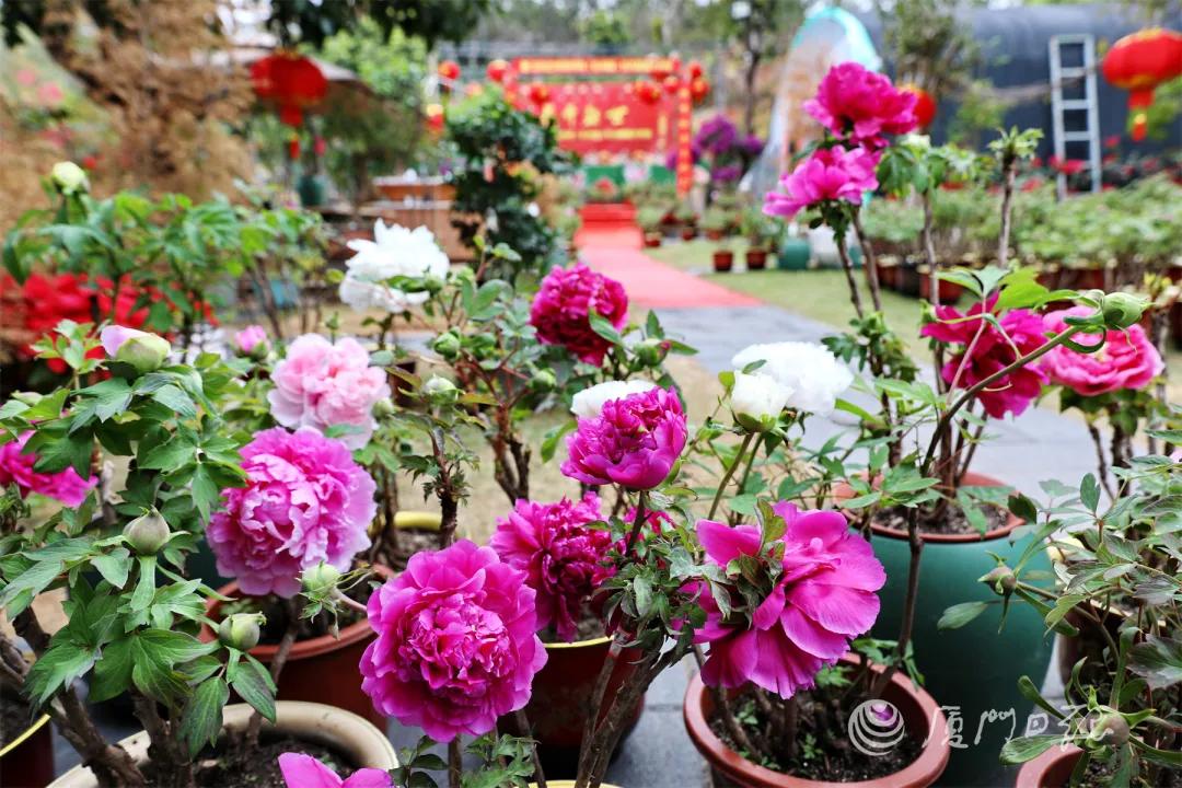 厦门四天游玩攻略大全,最新厦门游玩攻略