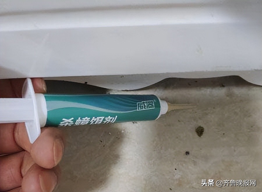 家里有蟑螂怎么办蟑螂要怎样灭,家里发现一只蟑螂怎么找到蟑螂窝