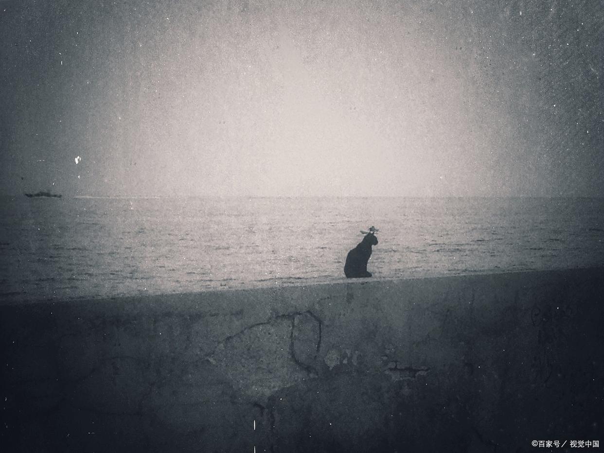 把老师写哭的作文完整版,伤感作文能让老师哭