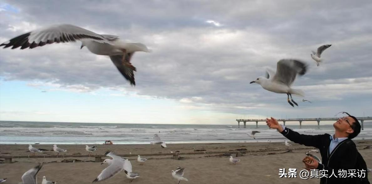 新西兰移民顾问难考吗,新西兰移民顾问收入