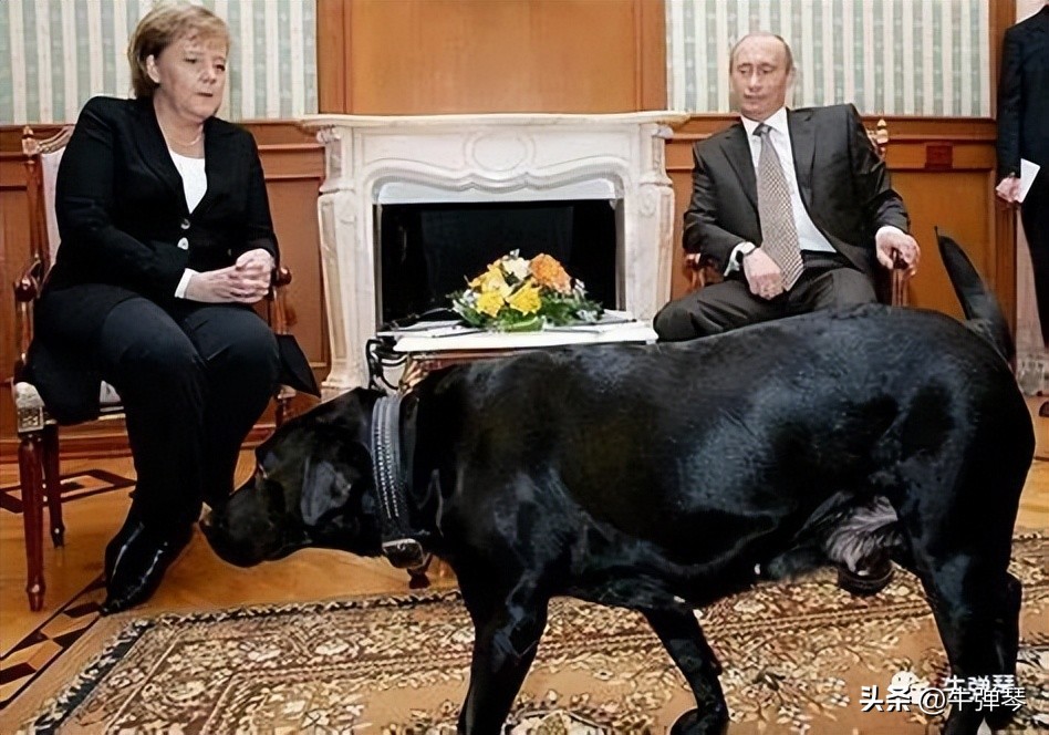 默克尔对普京的态度,默克尔发出罕见警告普京的话