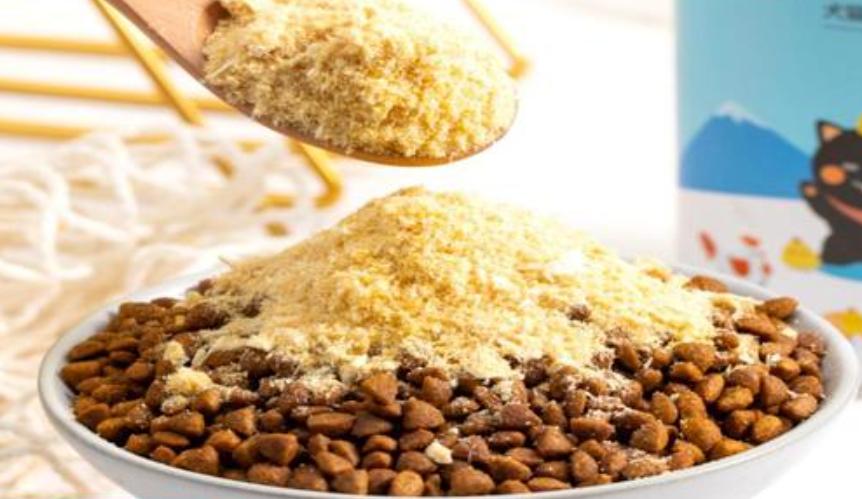 猫咪手术后不喝水不吃东西怎么办,猫咪走丢两天回来无精打采只喝水