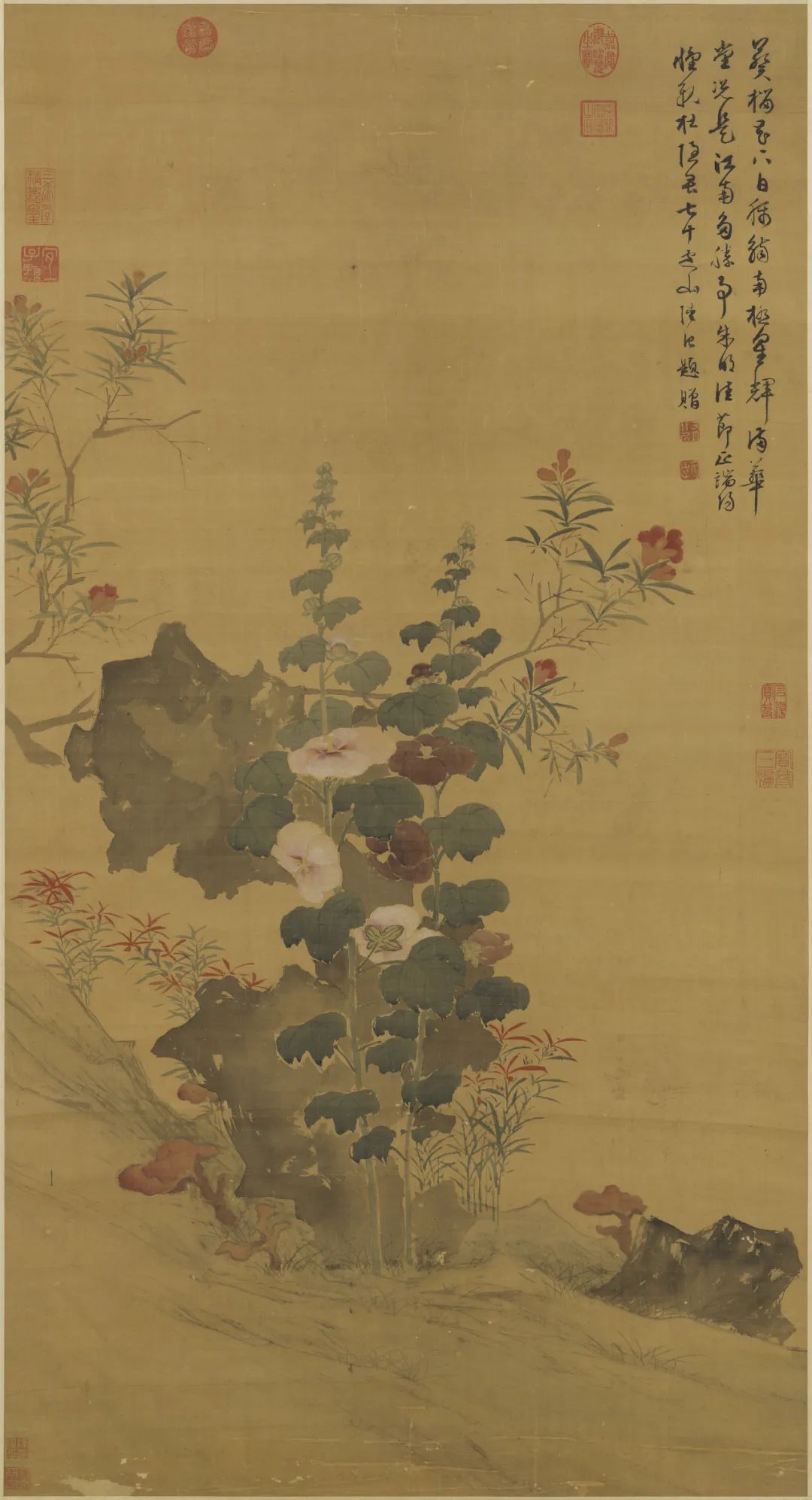 慕容看世界的视频,慕容看世界所有视频