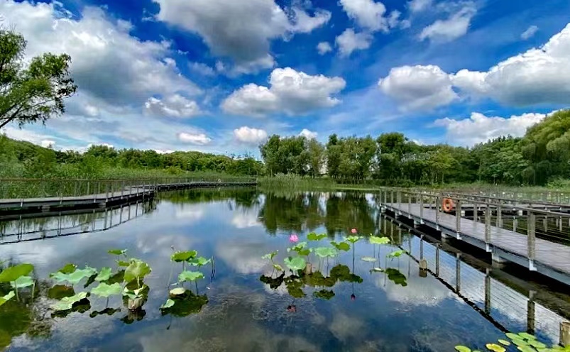昆山旅游十大必去景点排行榜,昆山游玩必去景点推荐
