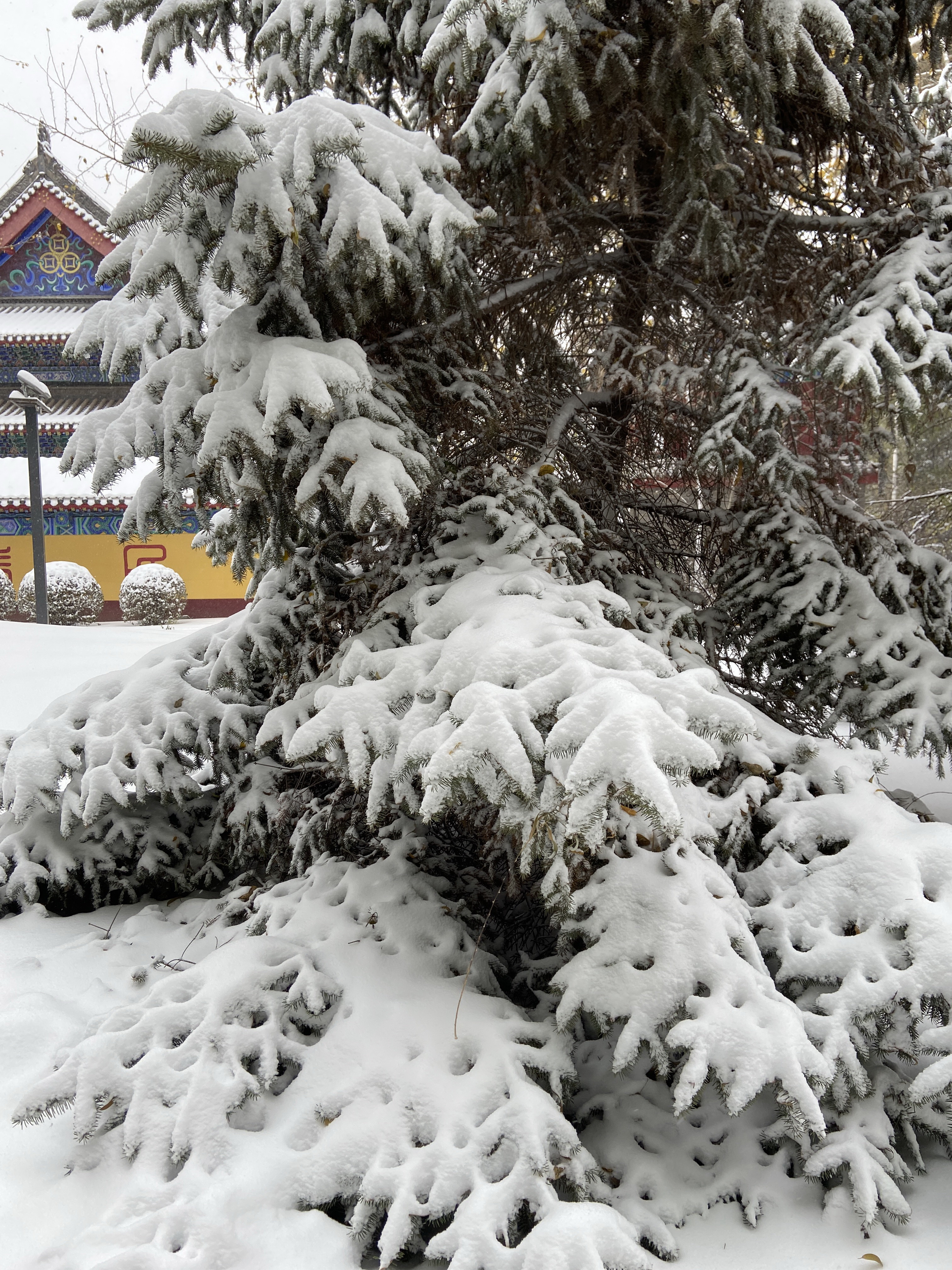 沈阳大雪压塌停车场,沈阳大雪堆雪人