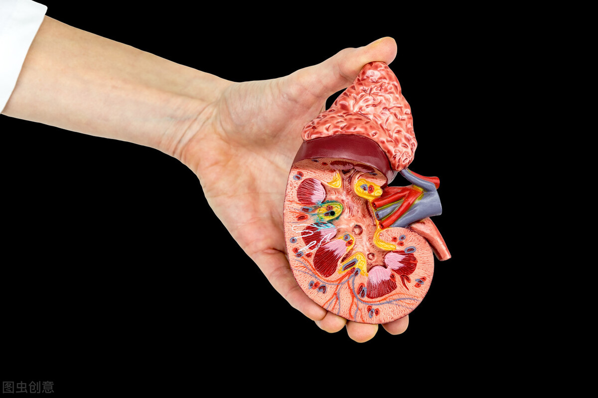 这些症状在提醒你该滋补肝肾了，快看看自己有没有