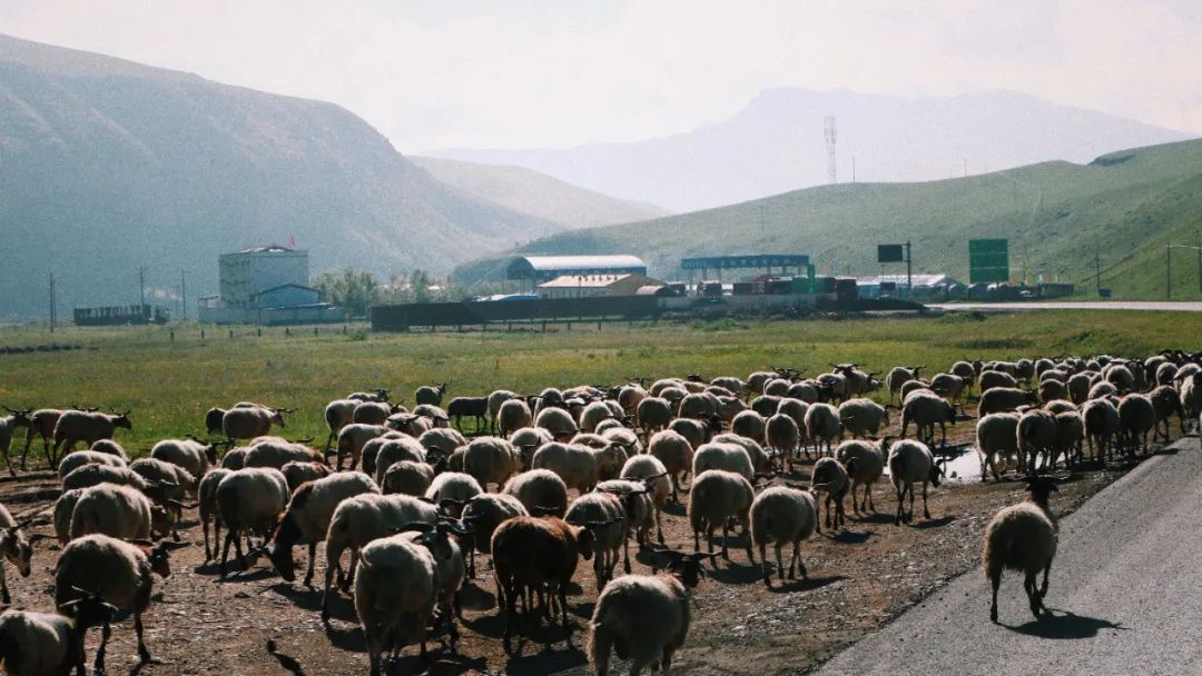 甘肃想吃美食去哪里旅游,甘肃啥地方
