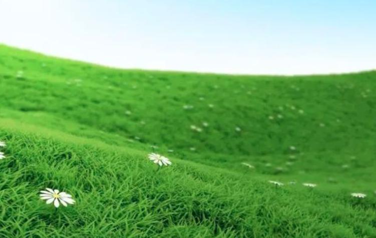 离离原上草古诗讲解,离离原上草全诗的诗名变了吗