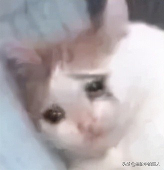 一些针对胡建人的恶意：“斧护符”