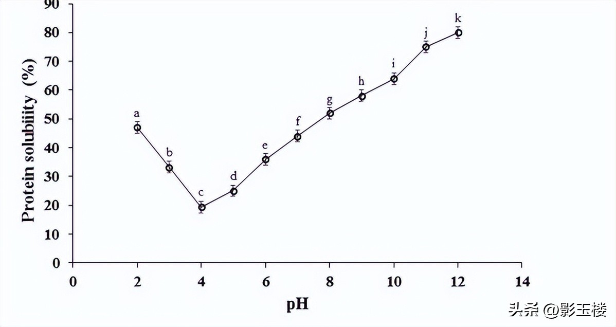 菠萝蜜种子效用,菠萝蜜种子煮熟的功效