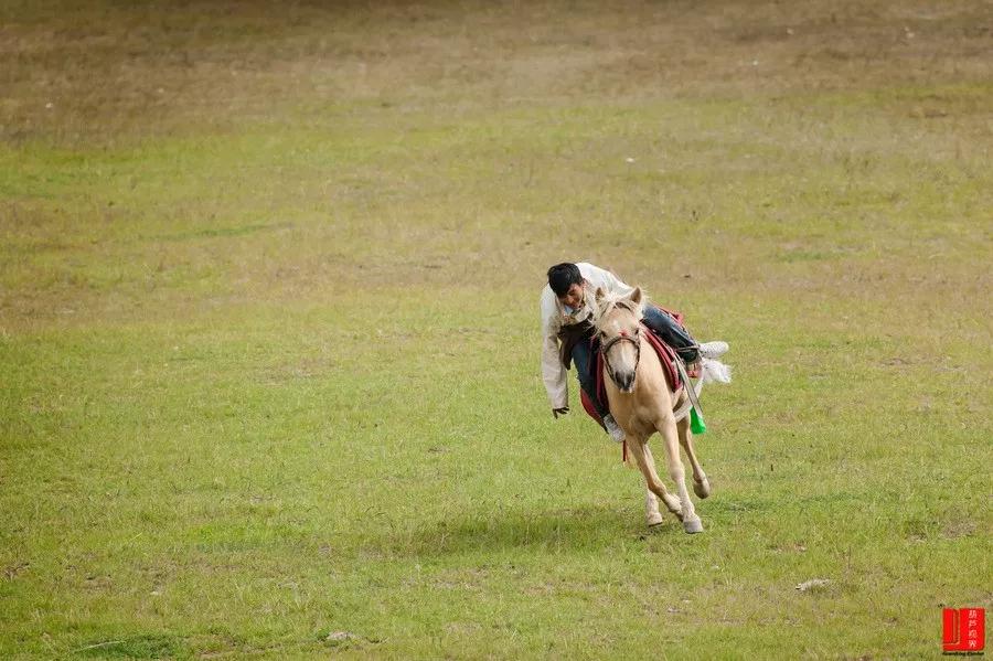 西北十大旅行攻略,西藏自驾游一日游攻略