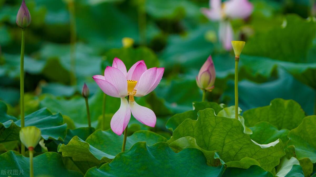 清远漂流一日游,清远清泉湾水上乐园跟团游