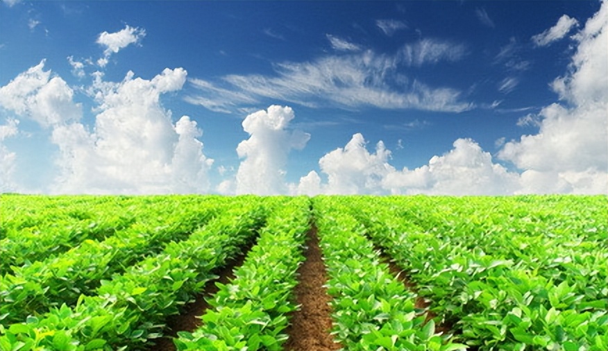 农业扶贫的正确方式,农业技术方面对扶贫的帮助