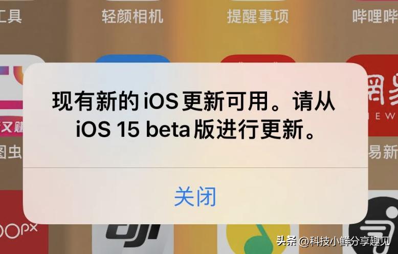 女生为什么喜欢苹果手机,为什么女生都喜欢苹果