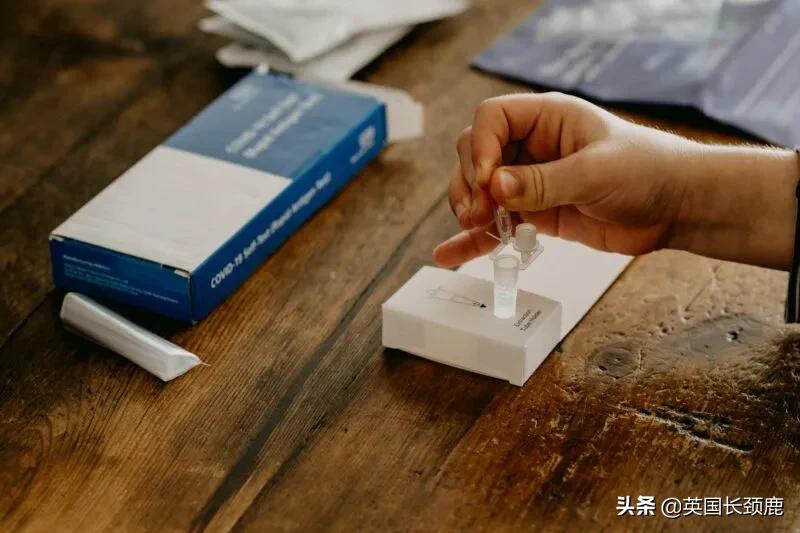 pcr精准检测,pcr实时检测