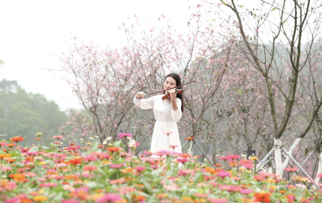 为什么会爱上广东,为什么会爱上英文歌