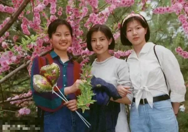 高圆圆的辛酸情史,高圆圆谈了几段情史