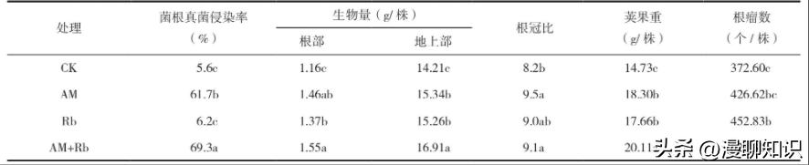 丛枝菌根真菌介绍,丛枝菌根对植物的影响