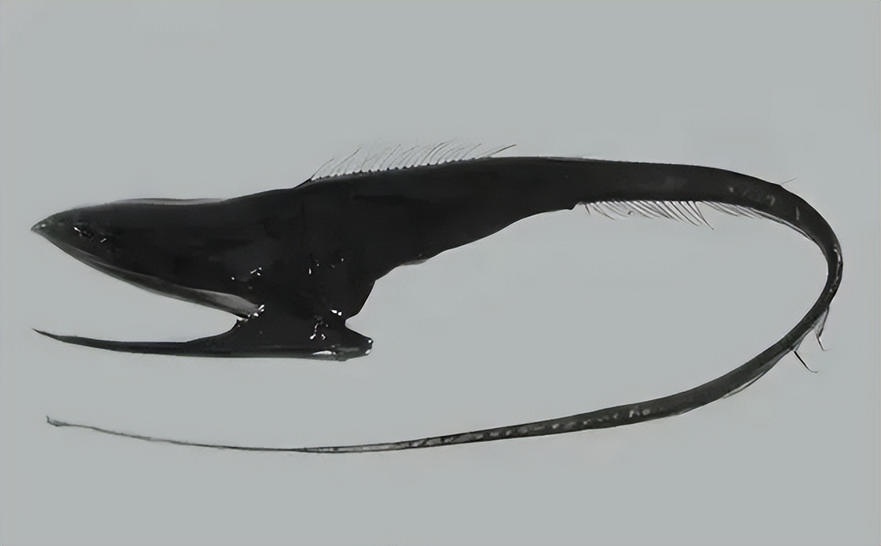 中国以前的足球有多厉害,趣知识科普