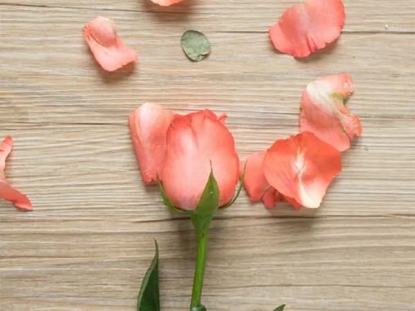 不开心的事也要有良好的心态,不开心时做什么事能让心情变好