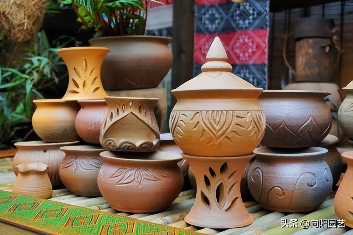 多肉花盆贵的和便宜的区别,紫砂盆和塑料盆养多肉哪个好