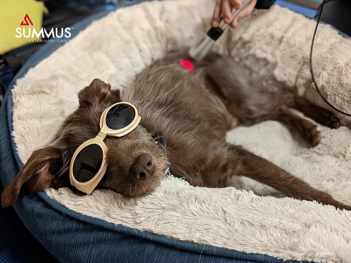 无痛无创疗法，更多医院的选择，SUMMUS全系列产品你喜欢哪个？