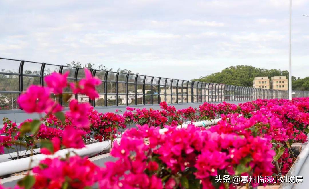 福田上班买坪山房子,深圳福田上班感受