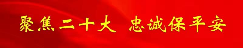 42发！叶城一男子主动上交*弹子**获奖励