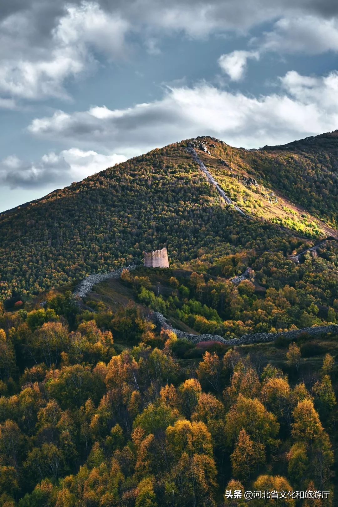 张家口如何从“旱码头”逆袭为“国际张”？