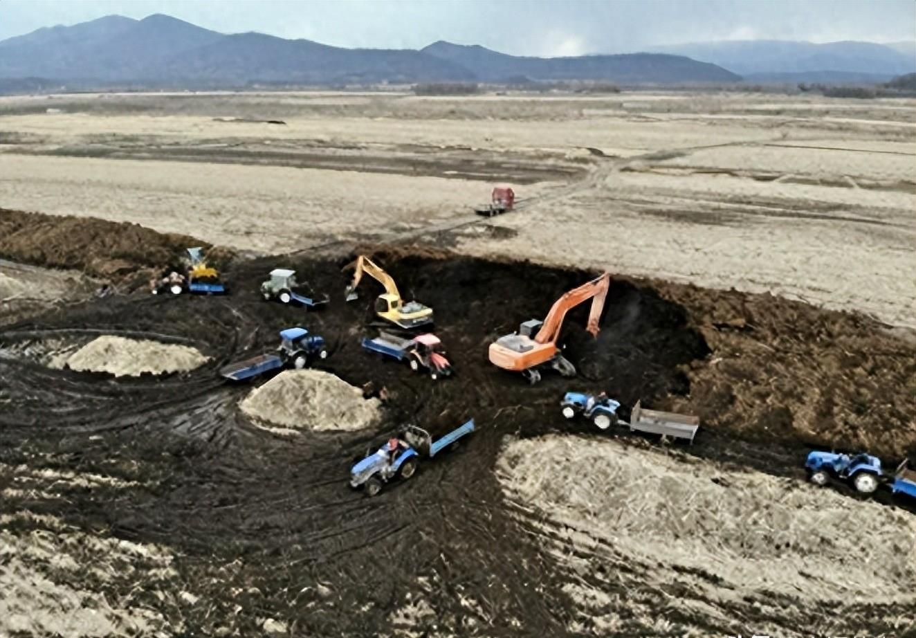 熊猫40年血泪史,大熊猫之殇