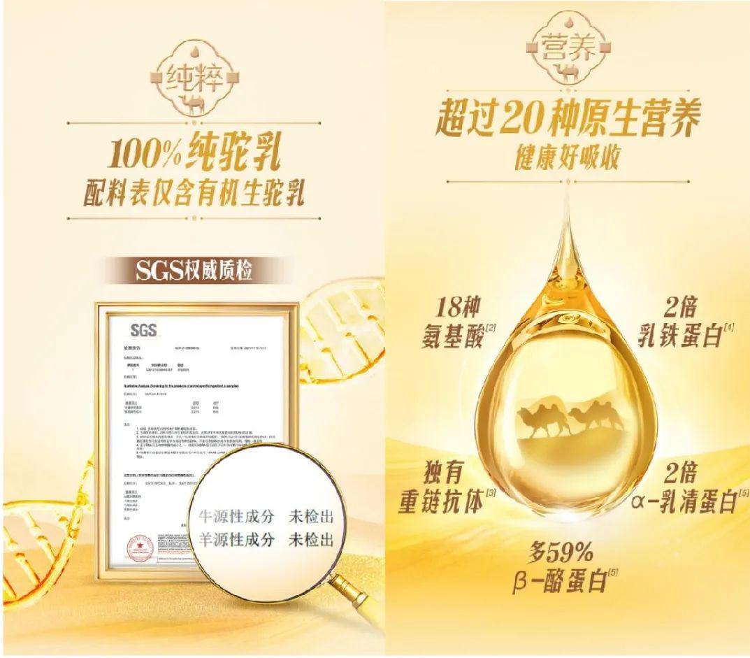 新疆伊利生驼乳粉,伊利进入奶酪市场