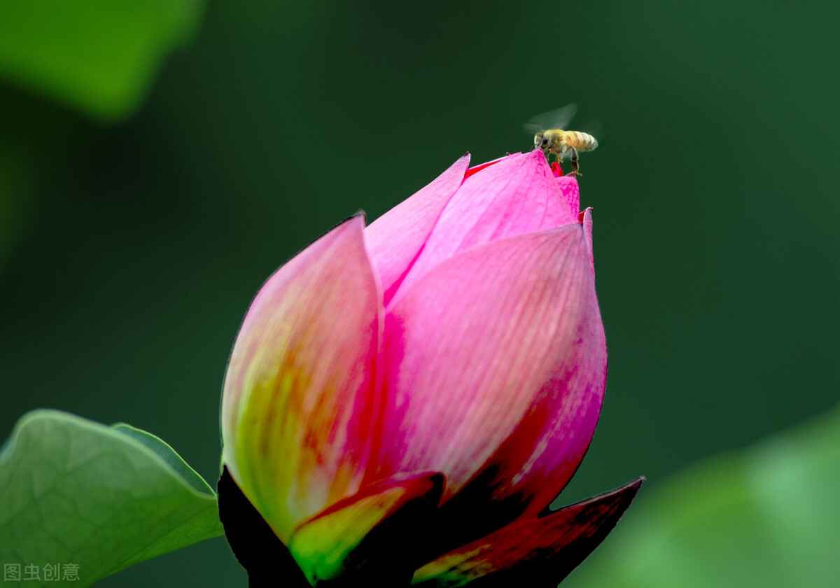 咋样说话才有魅力,怎样才是有魅力的女人
