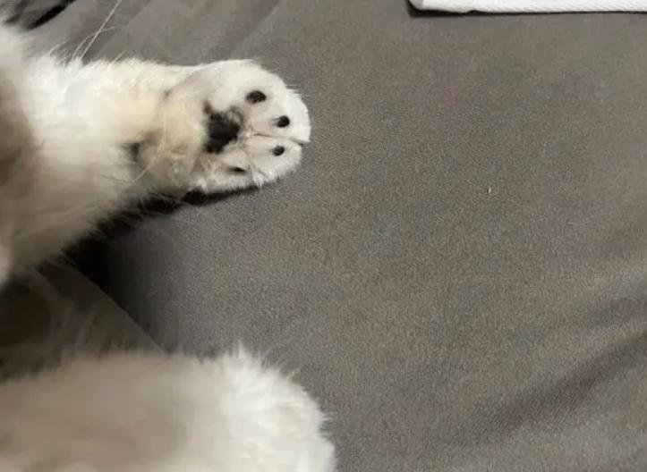 艾滋病腋下肿块,女子洗澡发现腋窝肿块