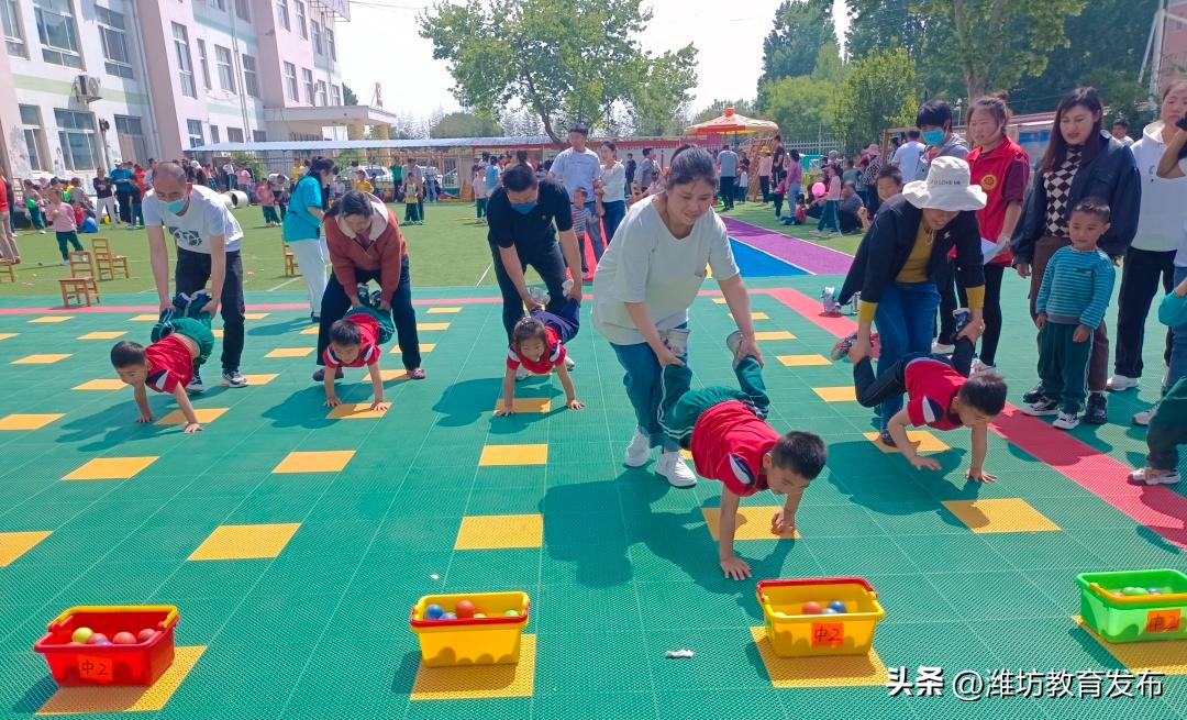 潍坊校园新闻播报,新闻周播报完整版