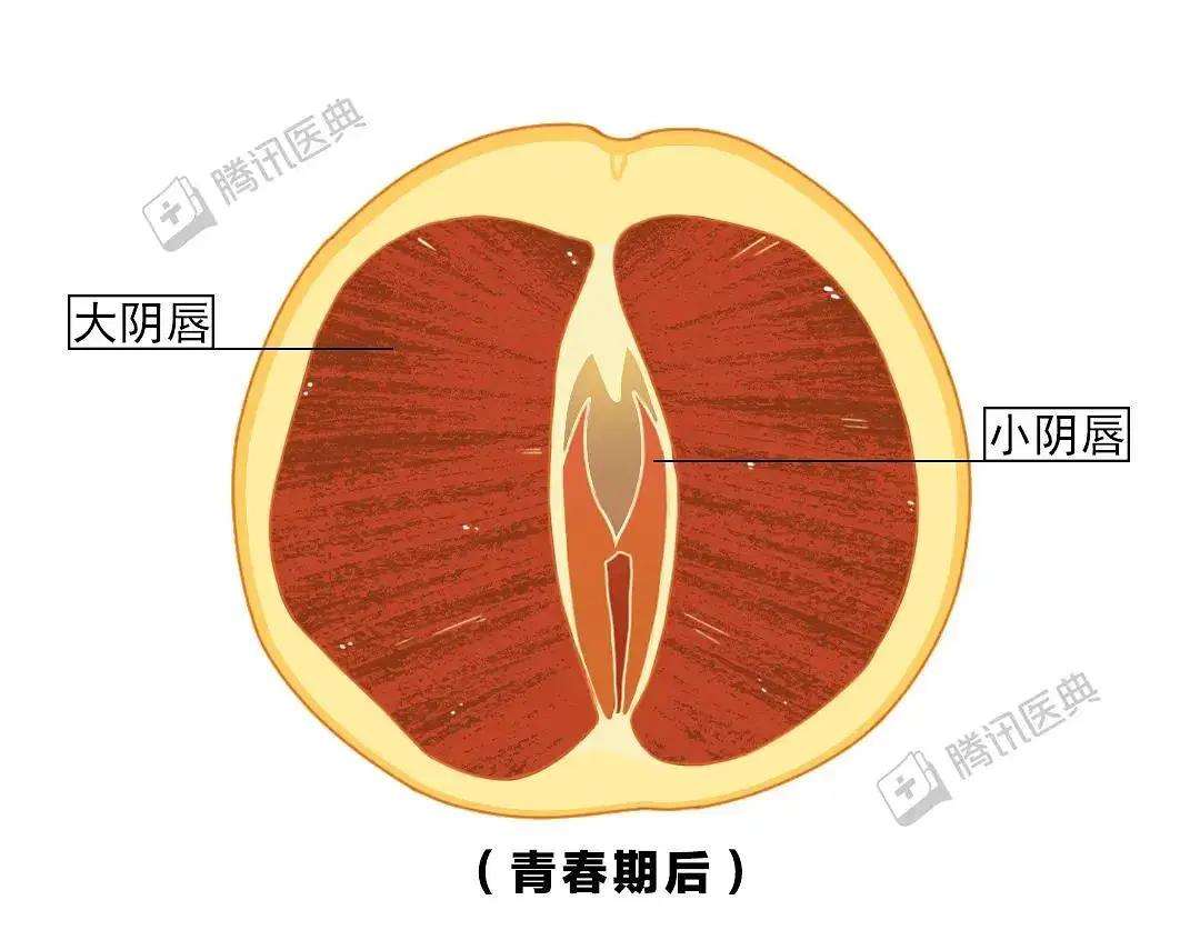 黑木耳吃多了有什么危害,黑木耳产生的原因