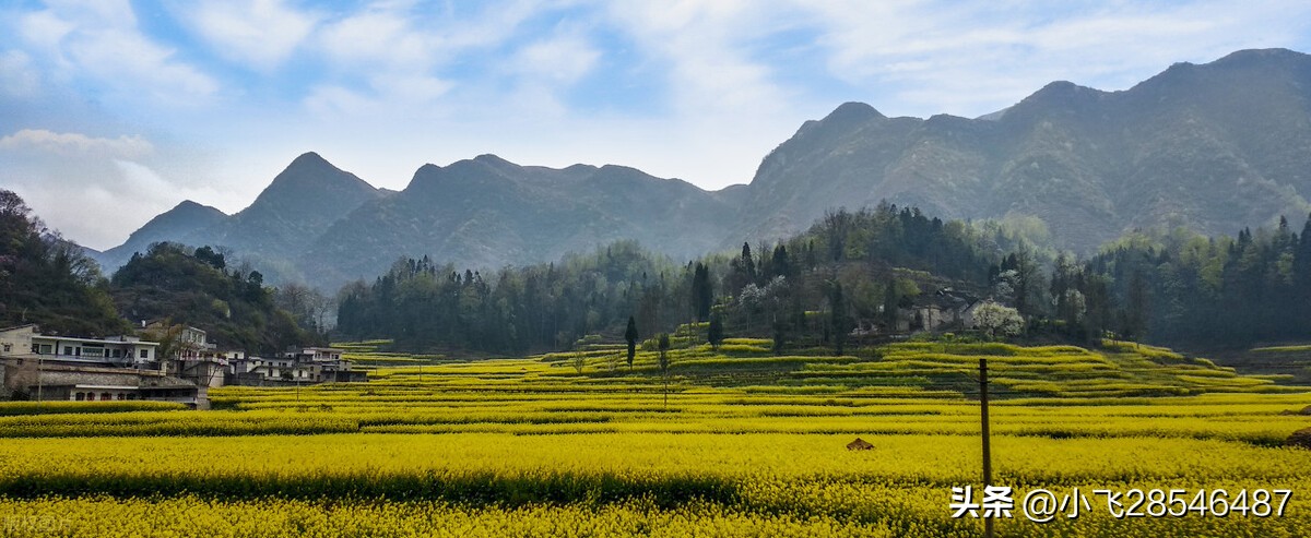 鑰佺櫨濮撴專閽卞幓浜嗗摢,鑰佺櫨濮撹鎬庝箞鎸ｉ挶